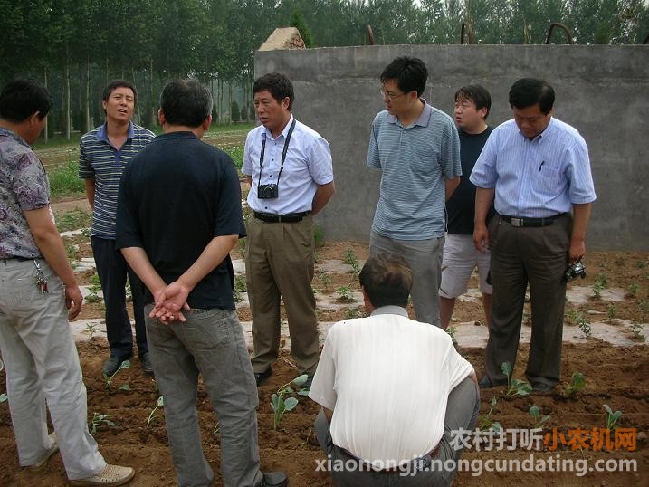 中国农科院环境与可持续发展研究所严昌荣教授与刘恩科教授现场指导
