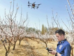 新疆将试点下发植保无人飞机农机购置补贴