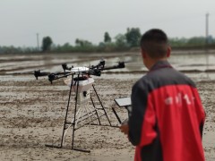 2020年度十項適用農機化之水稻無人機精量條直播技術